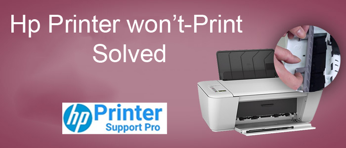 Hp Printer Wont Print Solved 2851