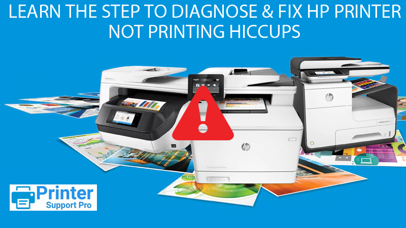 Learn The Step To Diagnose And Fix Hp Printer Not Printing Hiccups 3762